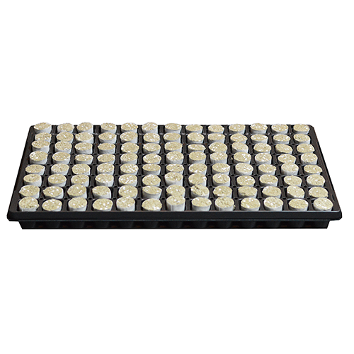 Paperpot Plug, Round Without Holes 104 Per Tray