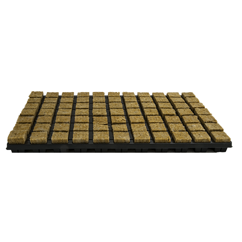 Plug 4 x 4 cm 77 Per Tray, 18tray Per Box
