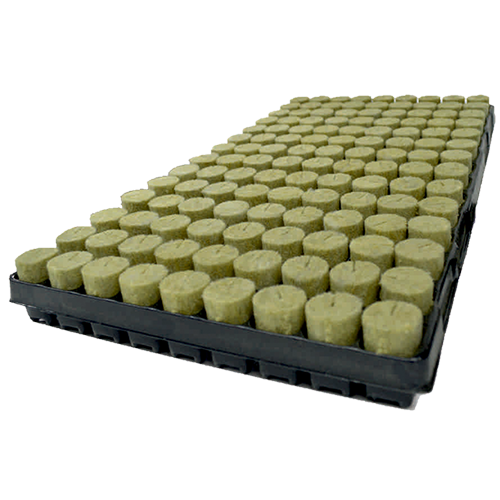 Plug basic Round 126 Plugs in Box / Box 11 trays in Box