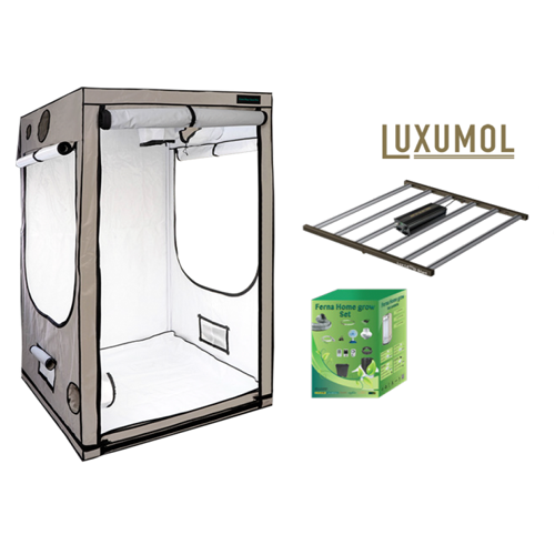 120x120x200 cm + Lux Le(t)D Start 720W + Luxumol digital ballast