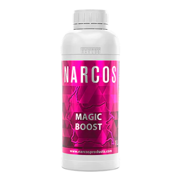 Magic Boost