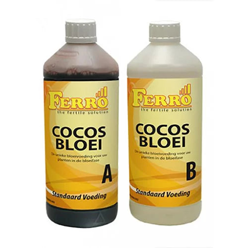 Ferro Cocos Bloom A+B