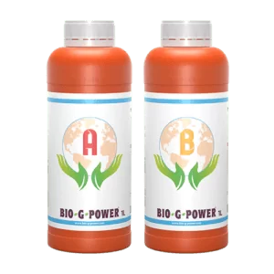 Bio-G-Power Basis A+B