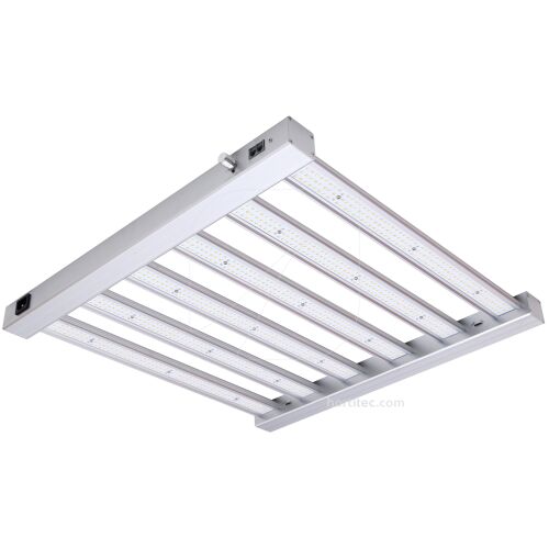 SPIDER KING LED
