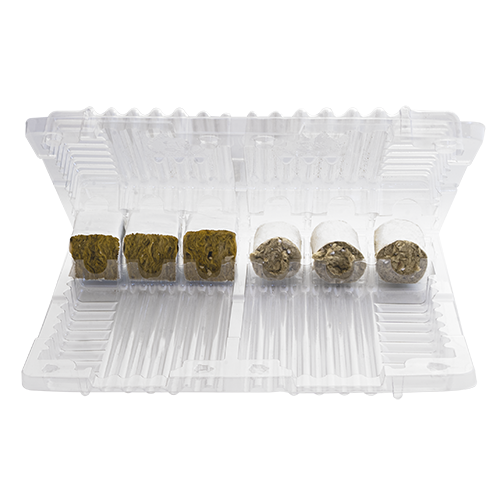 Clone box for 3 or 6 pieces. ( 250 piece in carton )