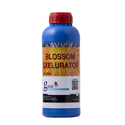 Geni Blossom Excelurator PK - Booster 1 L