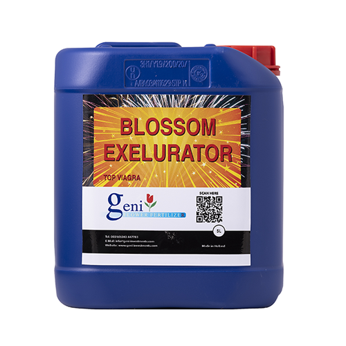 Geni Blossom Excelurator PK - Booster 2,5 L