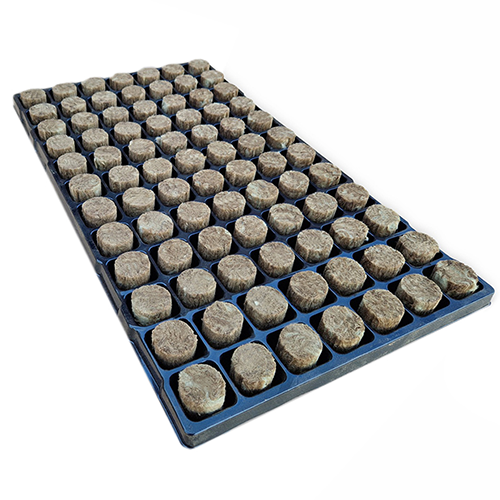 Power Plug, With Holes 60 Per Tray