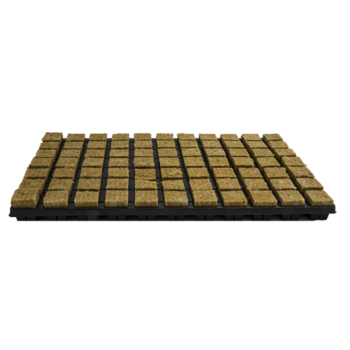 Plug 4 x 4 cm 77 Per Tray  18 trays Per Box 