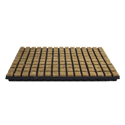 Plug 2 x 2 cm 150 Per Tray , 18 trays Per Box