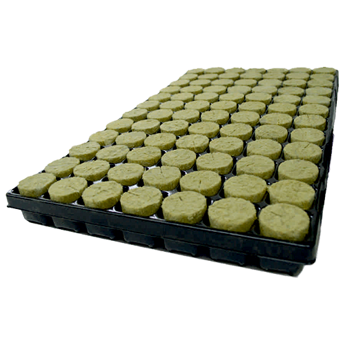 Plug basic Round 84 Plugs in Box / Box 11 trays in Box