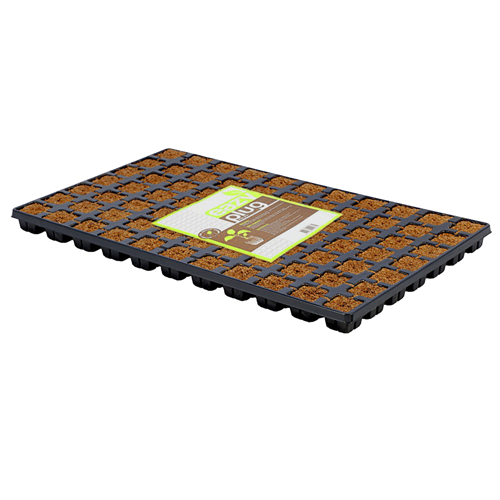 EAZY Plugs 4 x 4 cm , 77 Per Tray , Square