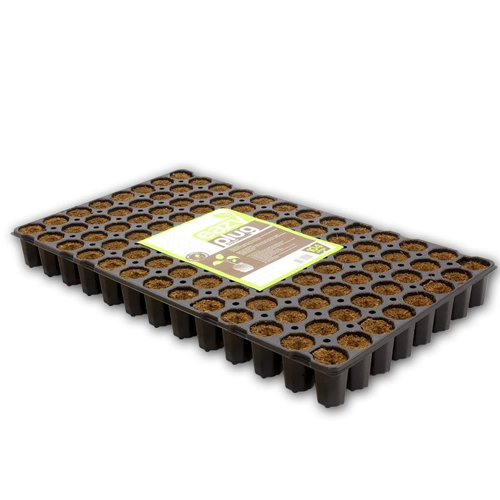 EAZY Plugs Round, 10 trays Per Box. 104 Per Tray