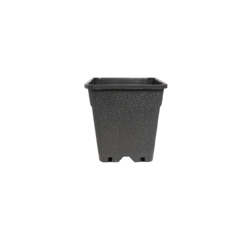 Square pot 2 L