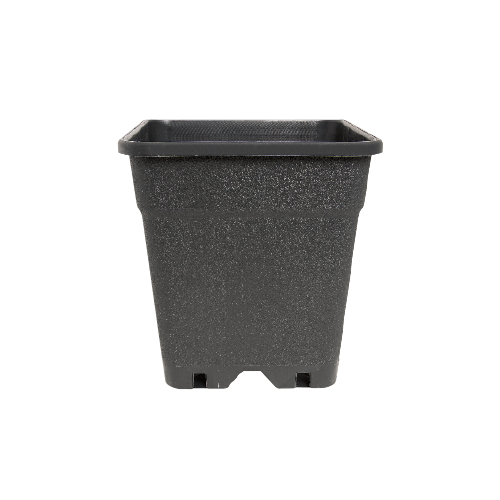 Square pot 5 L