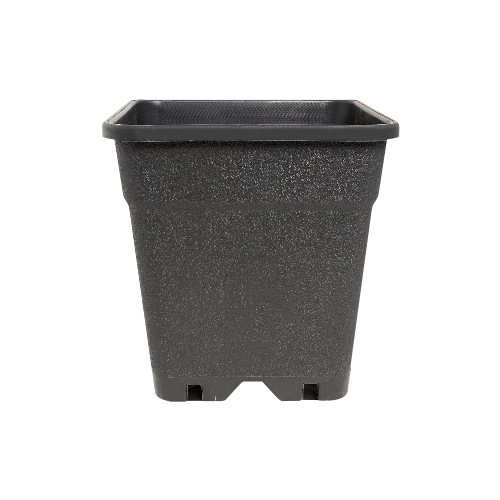 Square pot 6,5 L