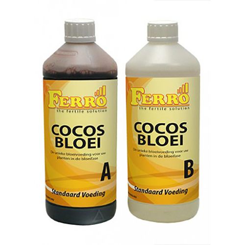 Ferro Cocos Bloom A+B 1 L