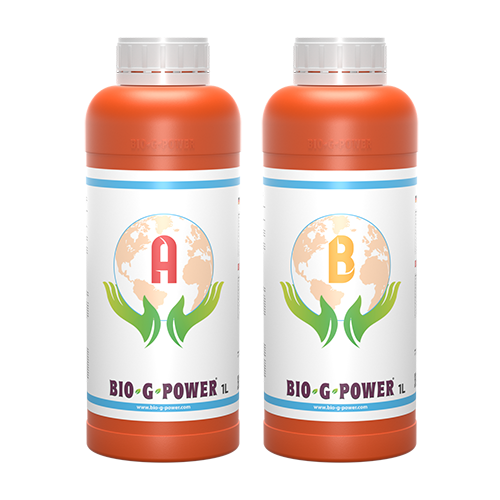 Bio-G-Power Basis A+B 1 L