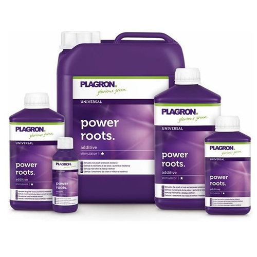 Plagron Power Roots 100 ml