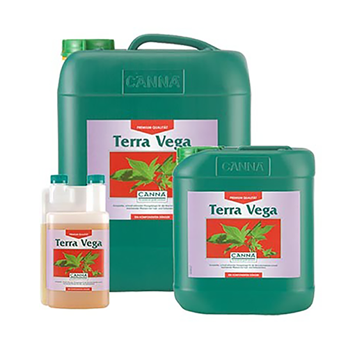 Canna Terra Vega