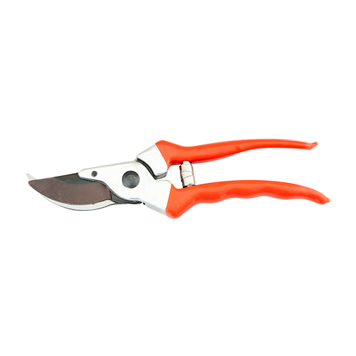 Pruning shears