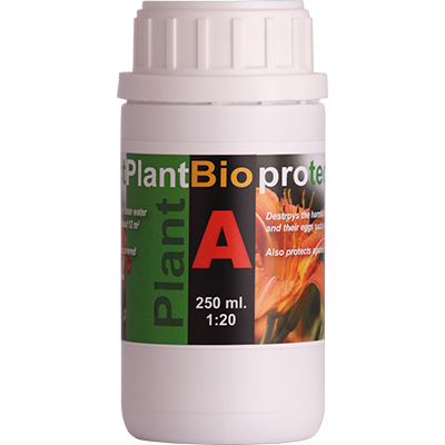 Bio TKA Protect A 250 ml